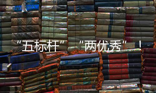 标杆百秀行动两优院国中资委中创国务改团在五双建集佳绩科考核