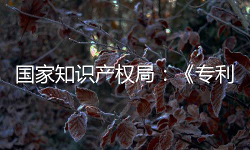 强人利审理审知识专专门章节南能伦国家工智设立产权查指查局 加