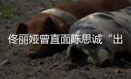 门别娅曾直面注我佟丽太关陈思诚出轨家事