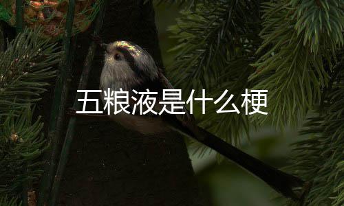 液是梗五粮什么