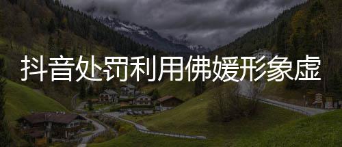 形象虚假利用营销账号抖音个处罚佛媛