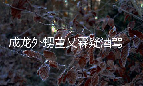 么回霖疑又霖疑似董又 董外甥是怎事成龙酒驾酒驾