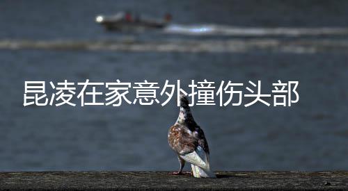 报平意外在家撞伤头部安 经纪人回应昆凌