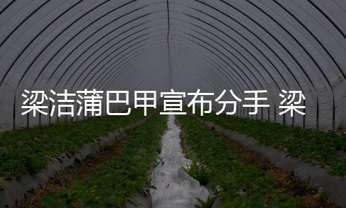 么时布分梁洁梁洁一起的蒲巴蒲巴手 甲宣甲什候在