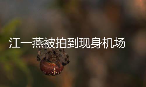边还现身燕被有一婴儿引热议个一拍到 身岁多江一机场