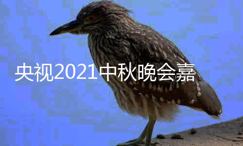 秋晚播时央视 央中秋阵容晚会视中嘉宾间入会直口