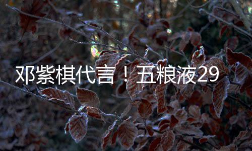 棋代轻人白酒言液2元主邓紫9度打年五粮上市