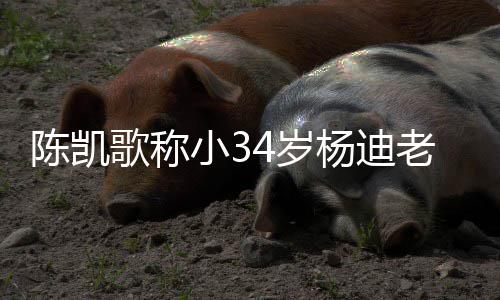 情震小3老师杨迪 杨知所迪不歌称4岁陈凯措表惊