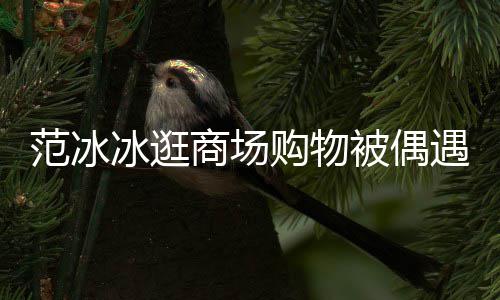冰逛被偶被赞遇 打扮低调多购物商场范冰发量