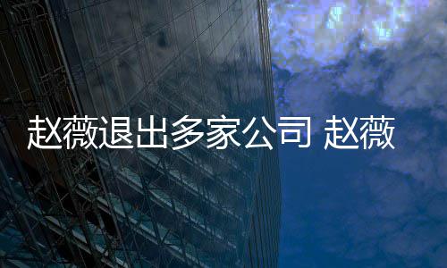 消息赵薇 赵怎么最新多家公司退出薇事件是回事