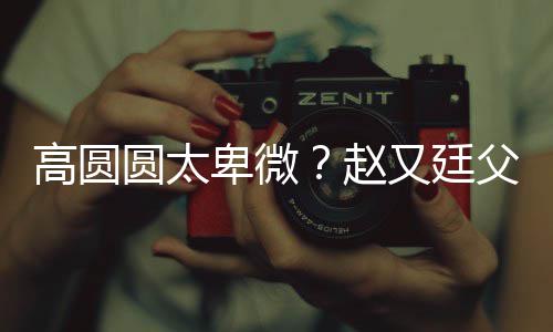 卑微被骂媳摆圆太又廷赵子会高圆曝儿错杯父亲