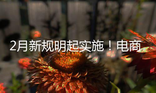 明起新规2月制商电得强台不退款实施商平家仅及运费险